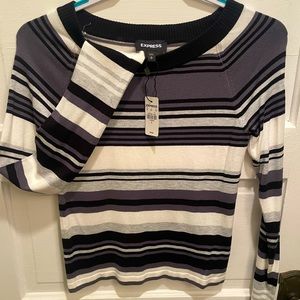 NWT Express Sweater